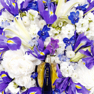 STAR | COFFRET TRAVEL EDITION