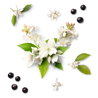 MY TWIST | COFFRET TRAVEL EDITION