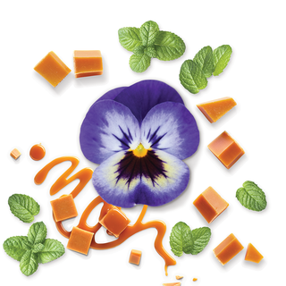 POUR LUI IN BLACK | COFFRET TRAVEL EDITION