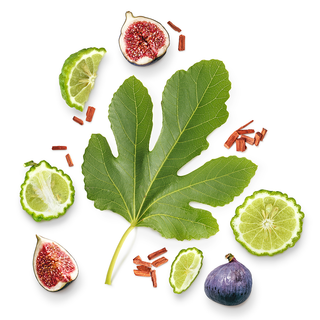 UNE HISTOIRE | COFFRET DUO