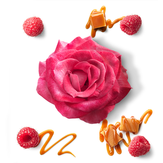 À LA FOLIE | COFFRET TRAVEL EDITION