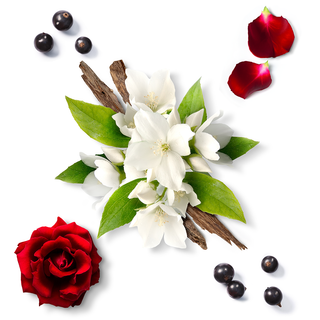 ELIXIR POUR ELLE | COFFRET TRAVEL EDITION